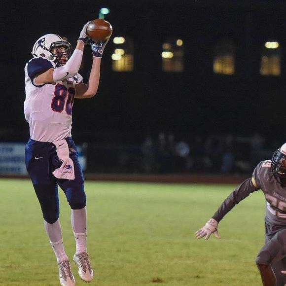 Meet your Posher, Bailey - Picture 1 of 1